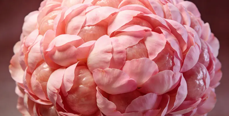 玉溪BRCA1/2乳腺癌卵巢癌基因检测图片1